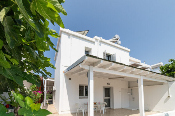 House Back 2