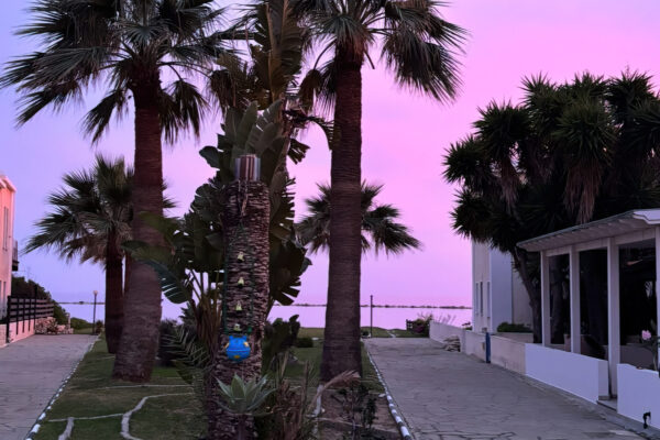 Sunset 3